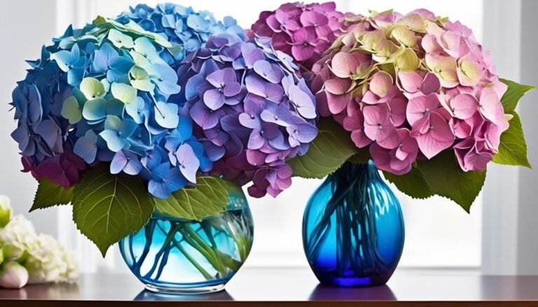Popular Types of Florist Flowers – Hydrangea